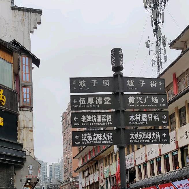 桂萍