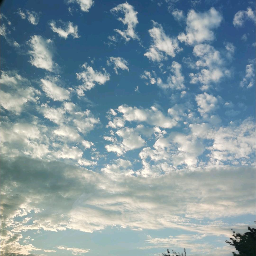 小鱼儿(つ°ω°)つ🐟