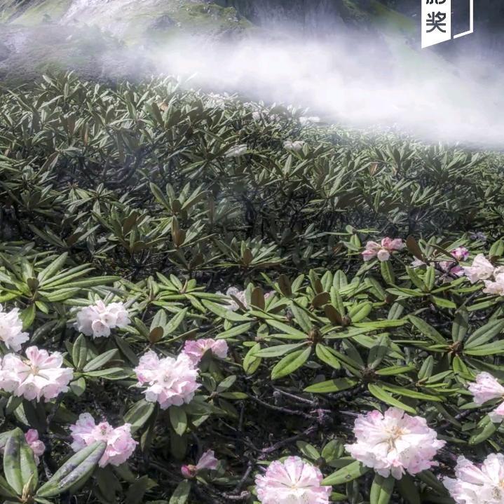万水千山总是情