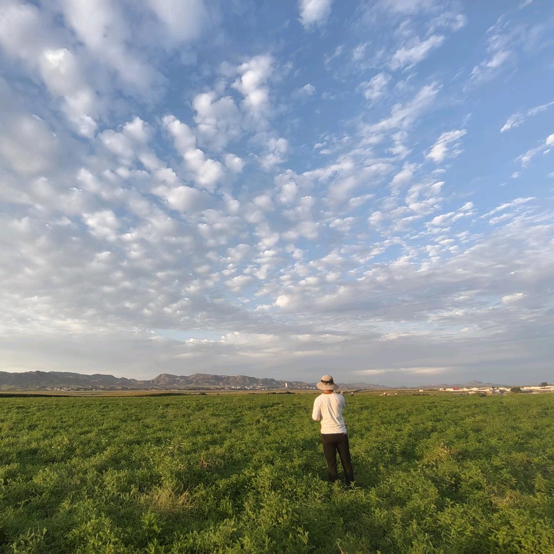 德瑞福农贸企业店