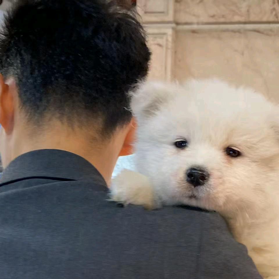 阿伟