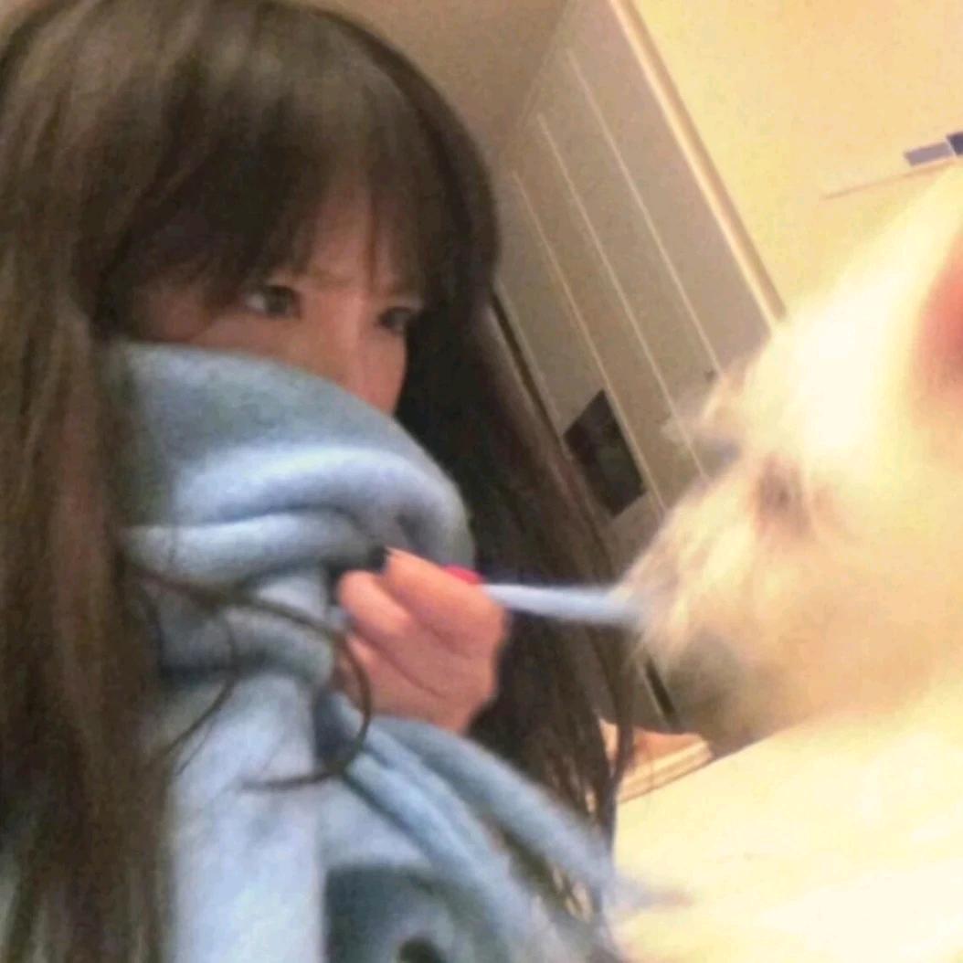 鹅蛋