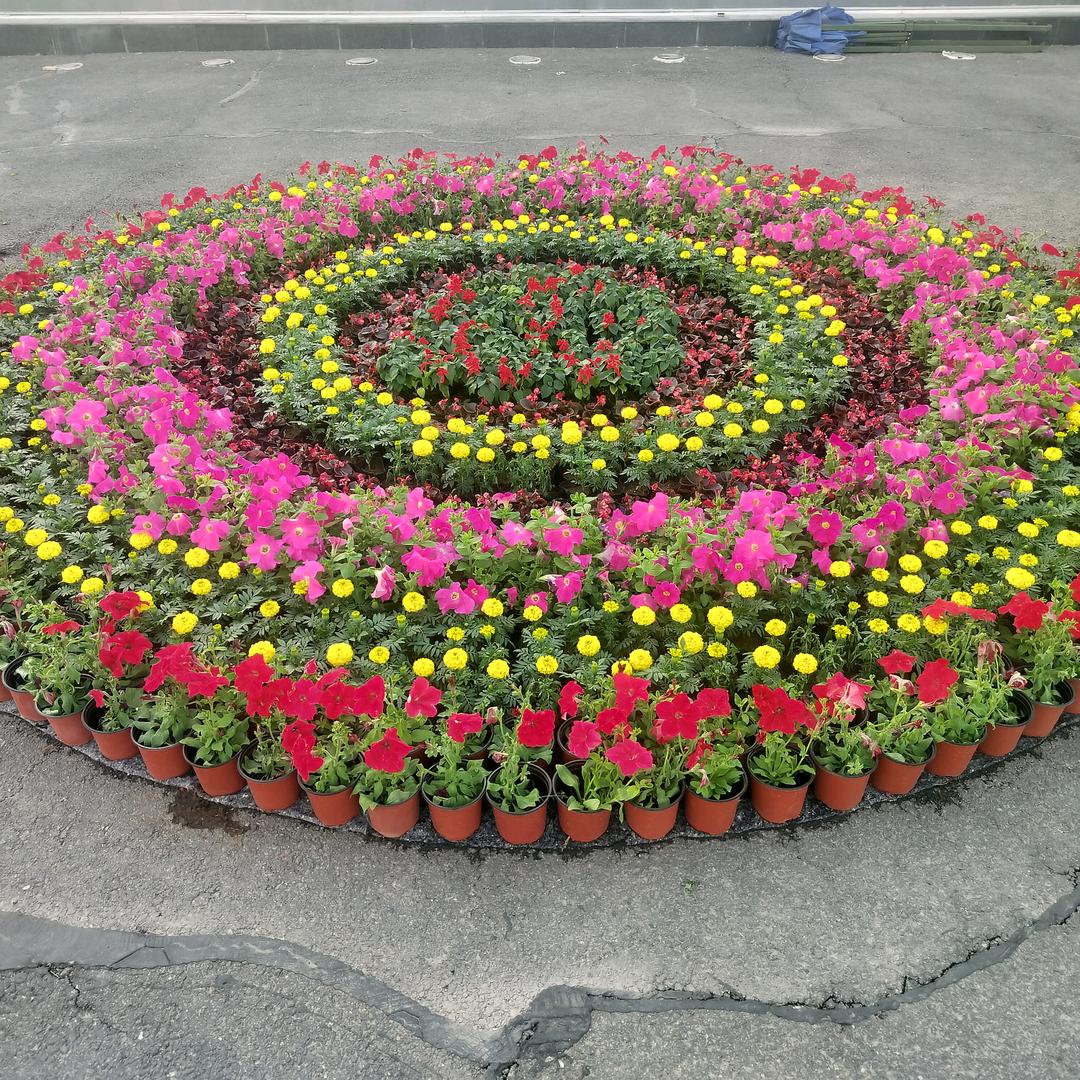 牵你的手一直走下去