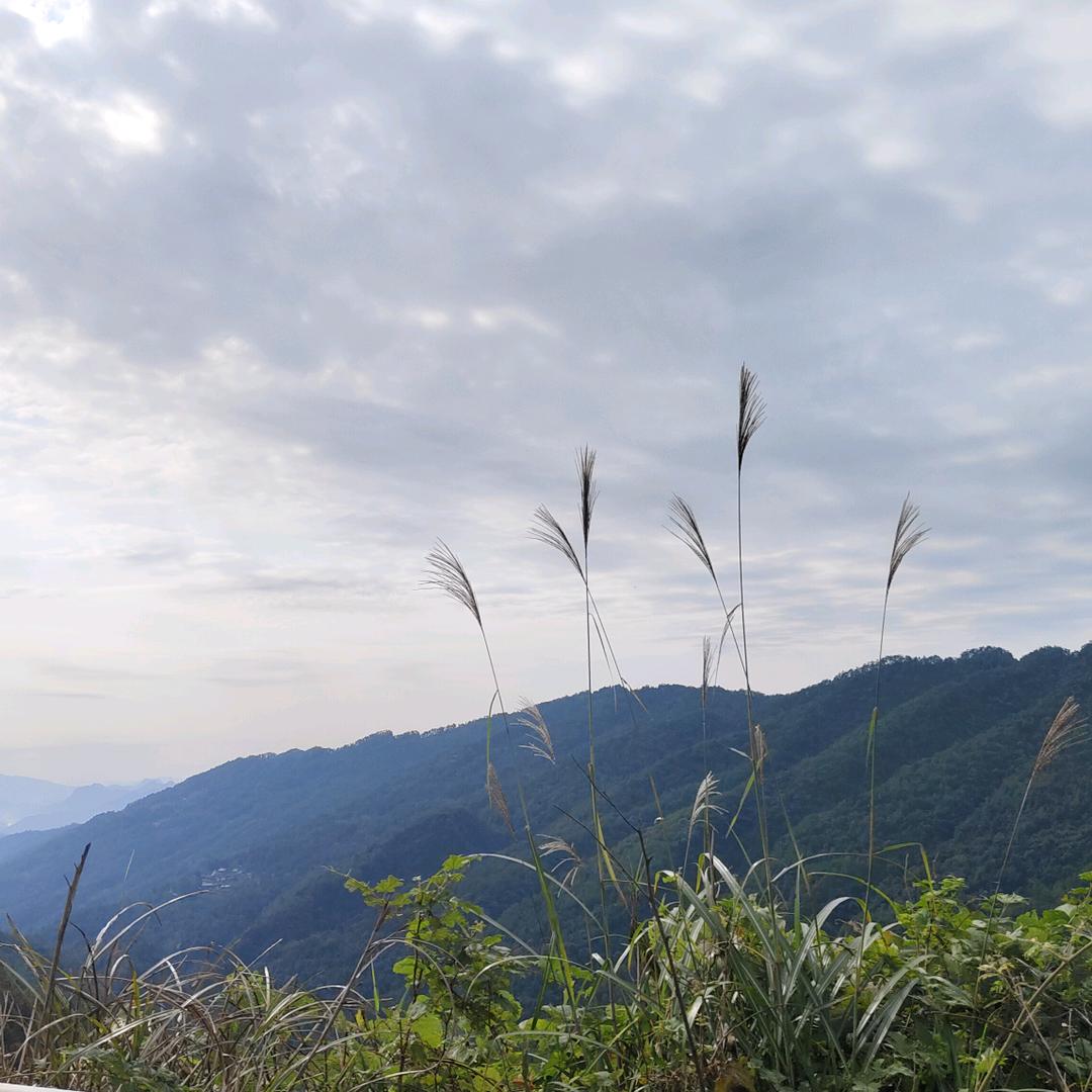 让心，安静