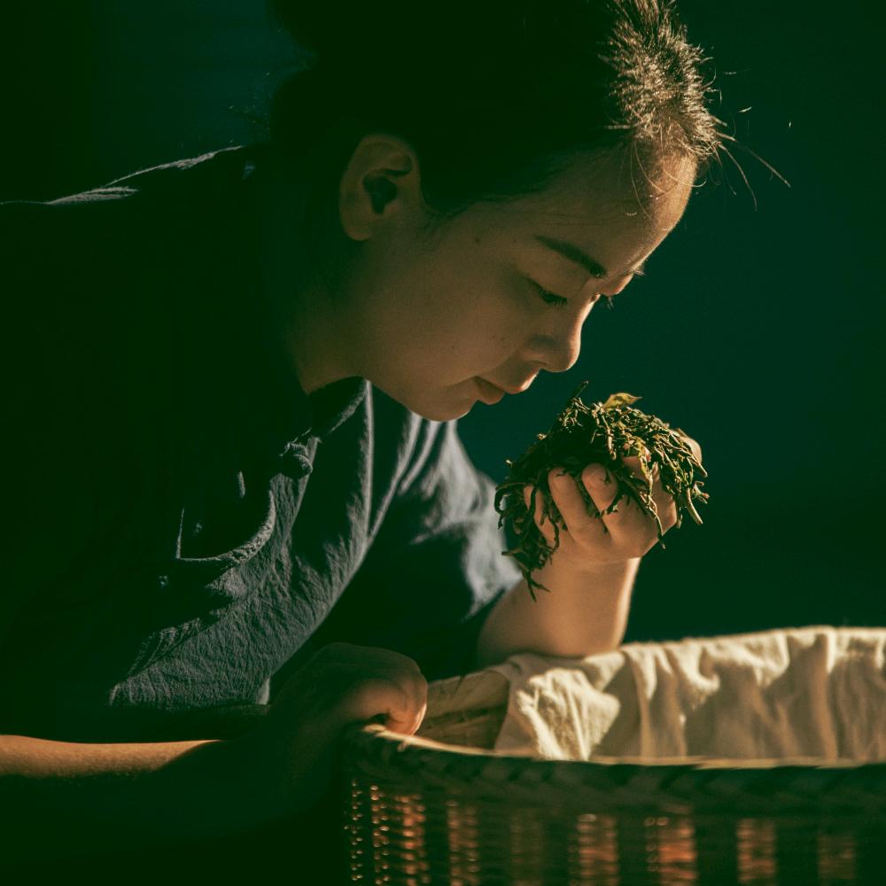 如姣～天心佳葉～魁豐太平猴魁～非遗传承人