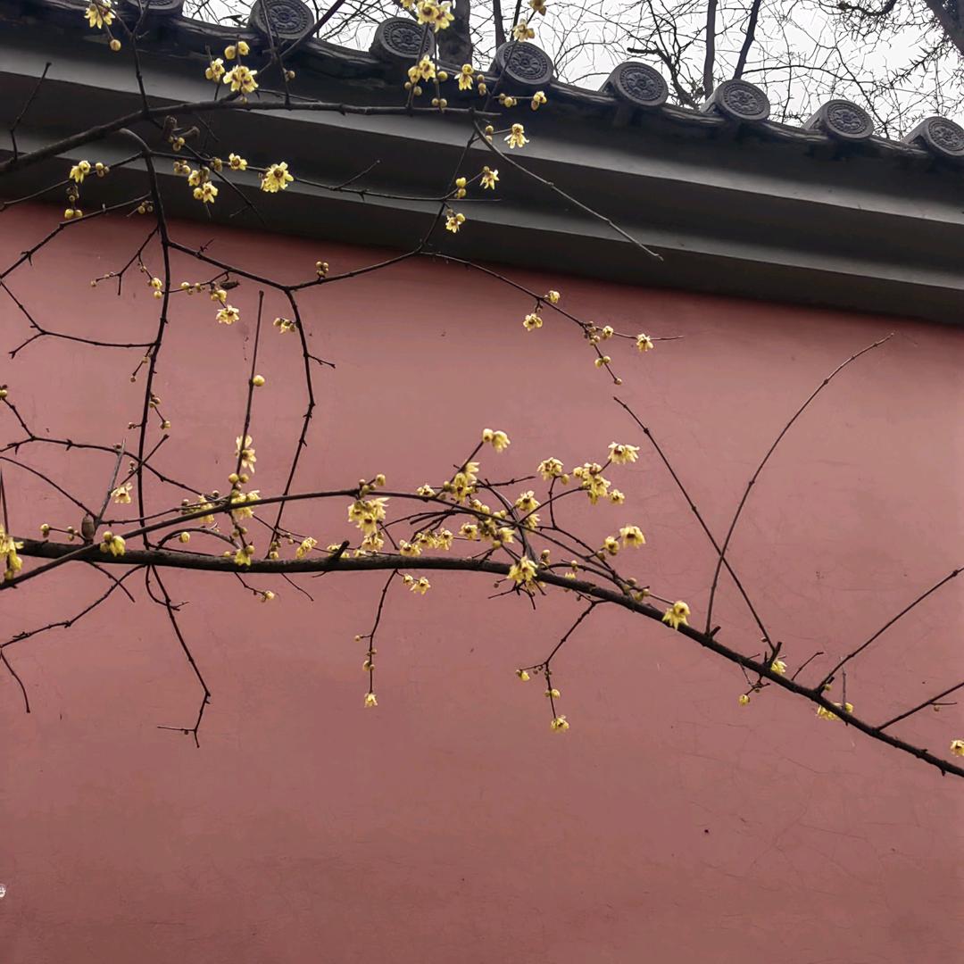 追梦人11