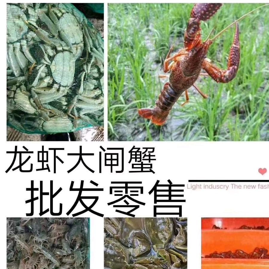 小李龙虾L义乌市中心菜市场