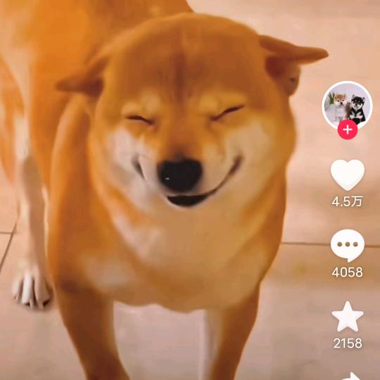 从来一次