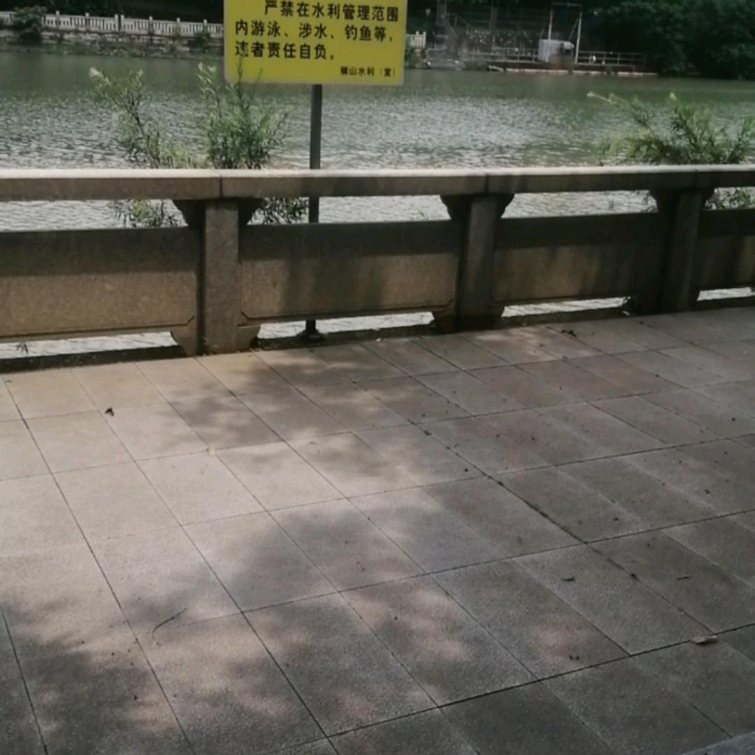 后悔以前白白浪费了几十年