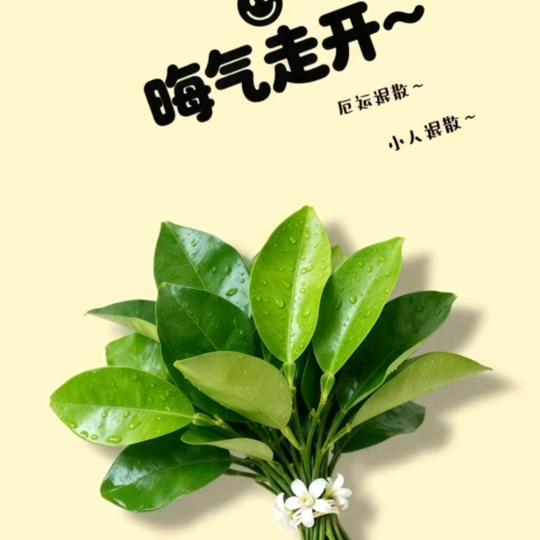 💞࿐꧁小美💋💞࿐