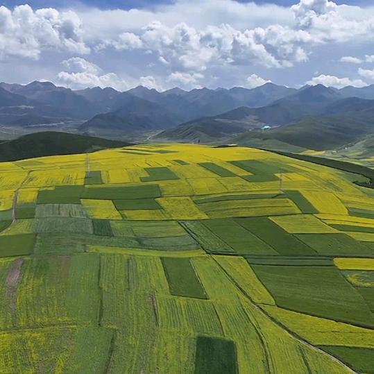 晚风心里吹🤺🤺🤺
