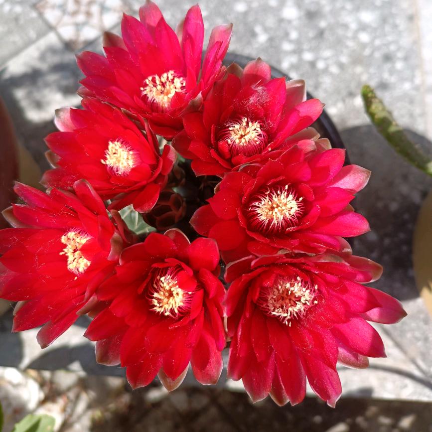 欣鑫奇奇(拒绝私聊)