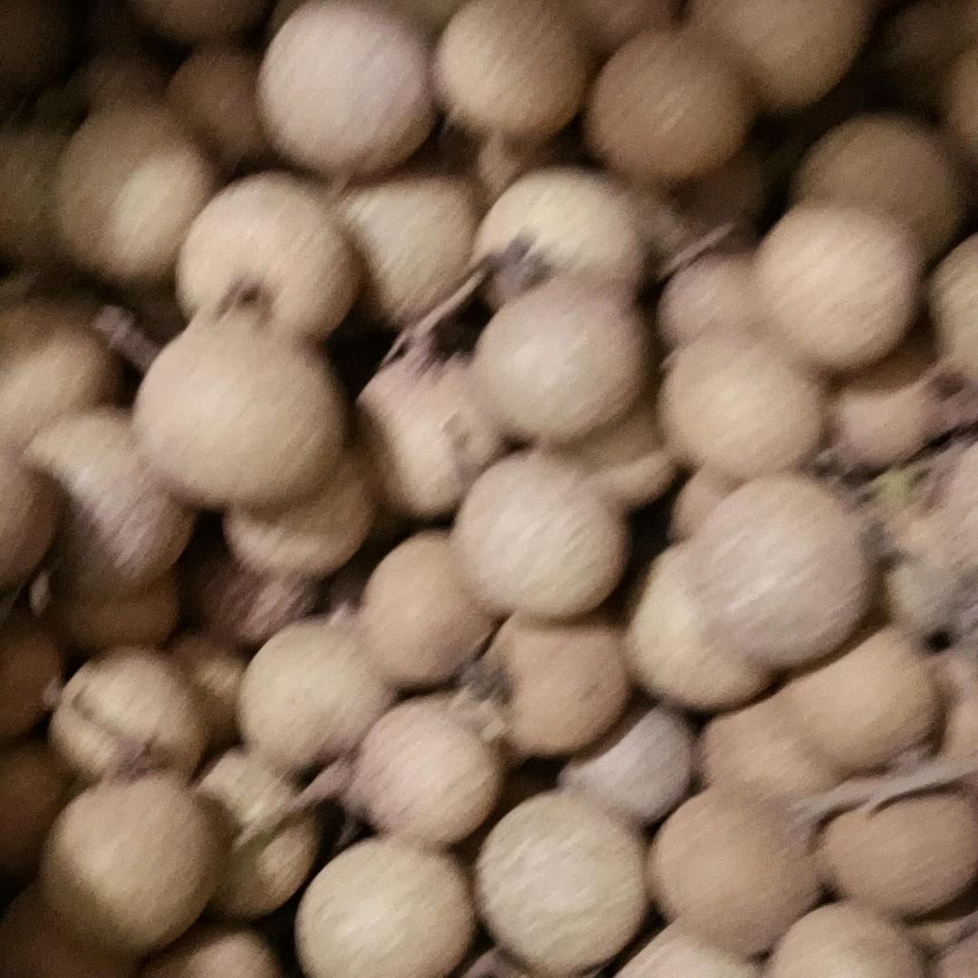 梦晨