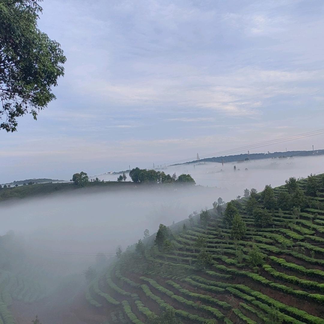 为何而来