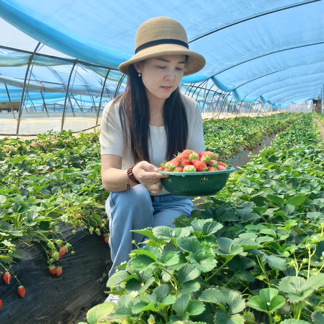 长安纺织女（谢绝连赞）
