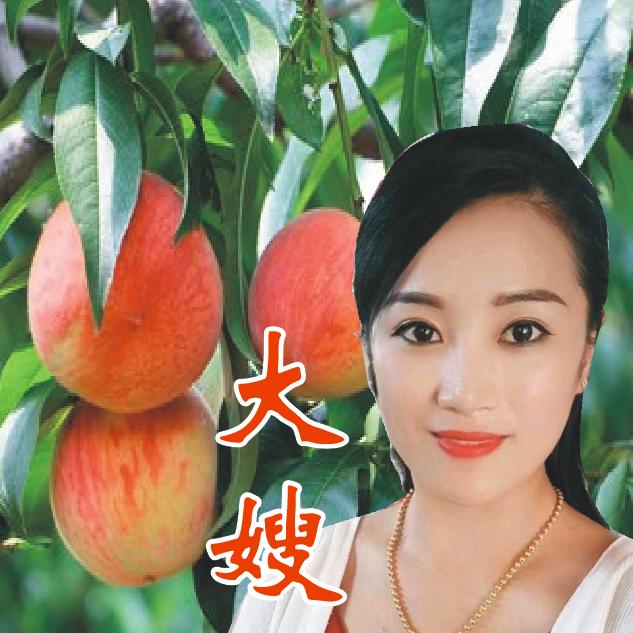 农业技术(大嫂)