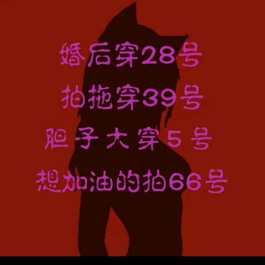 猫猫性感睡衣1