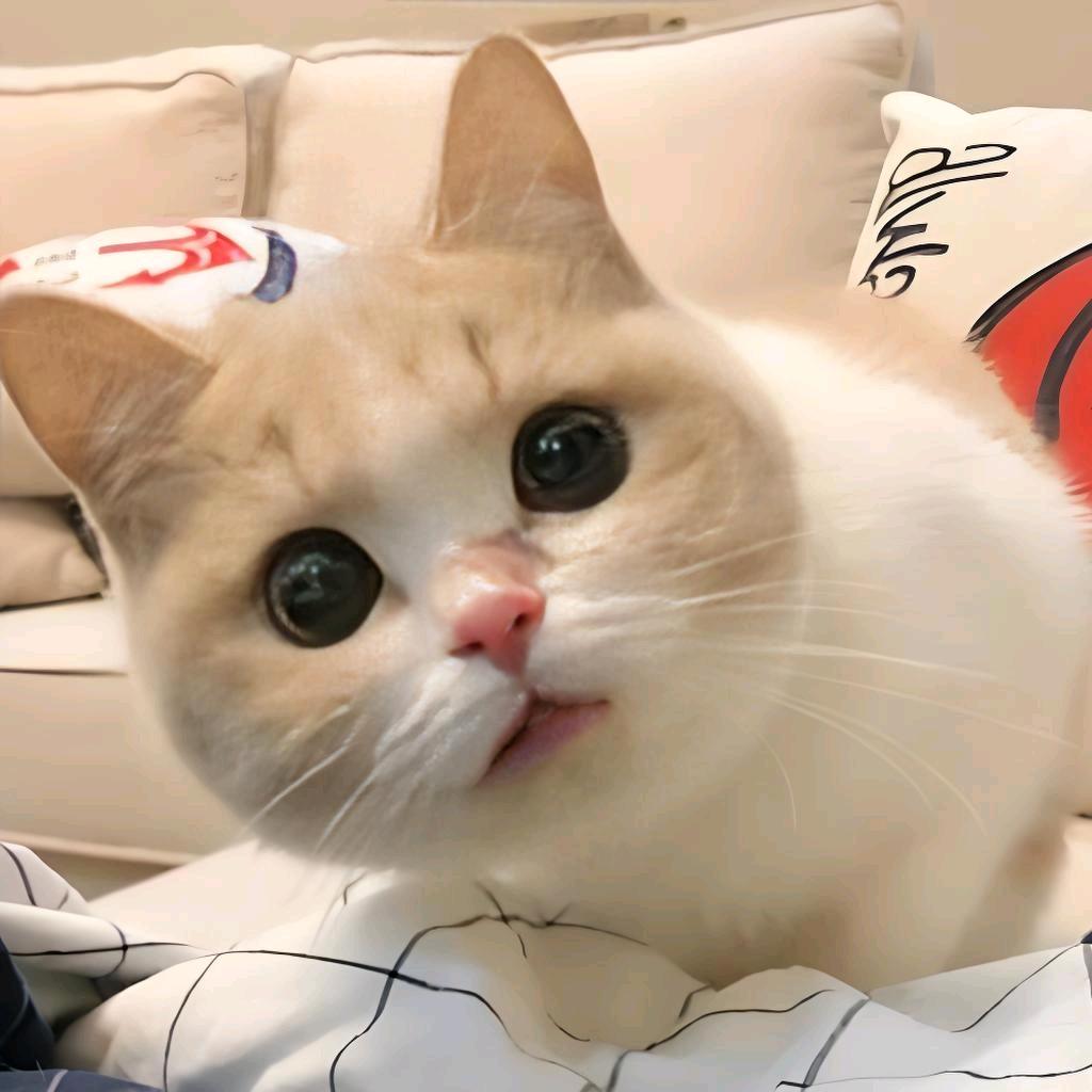 小天才