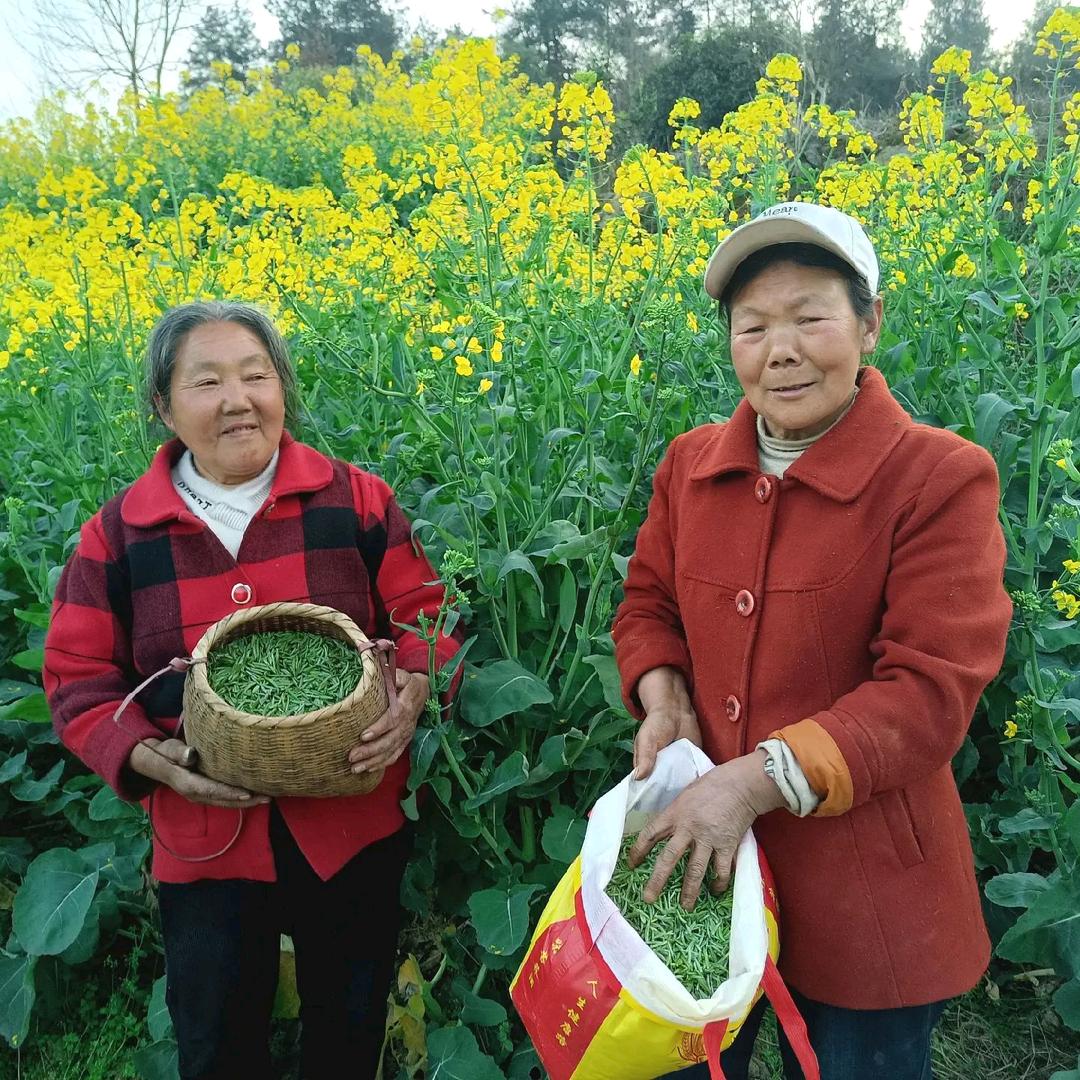 用户55265307