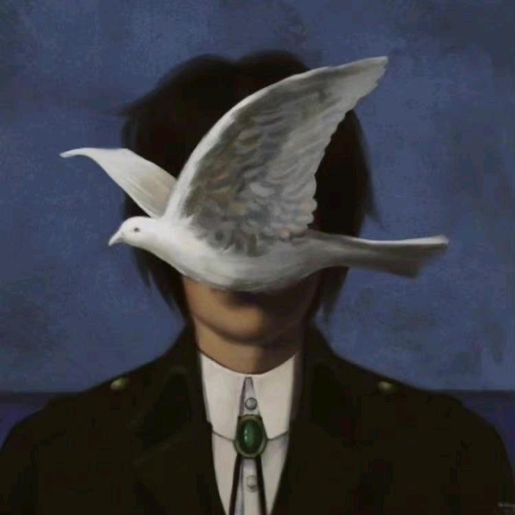 朝阳电商
