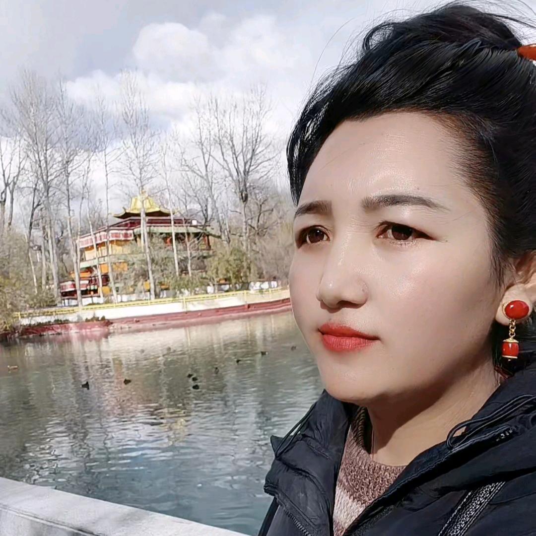 央宗YZ
