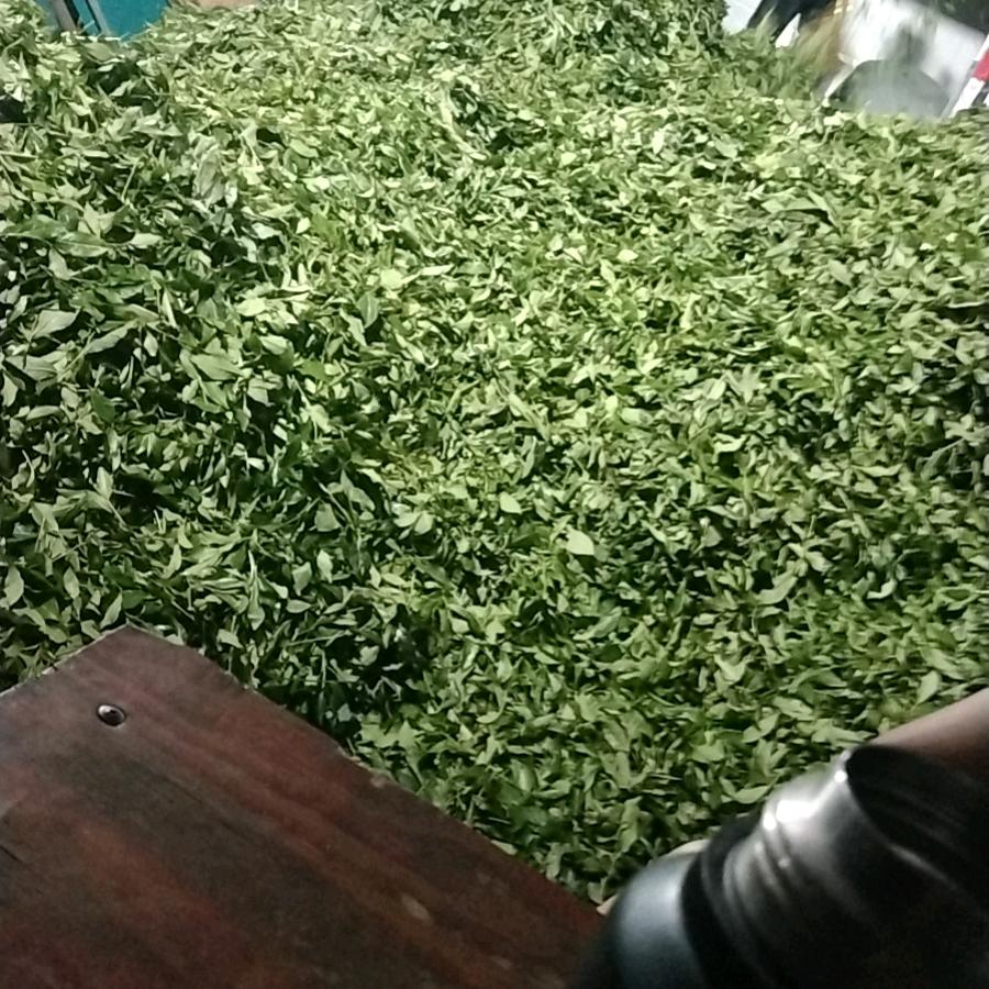 茶叶穆阳水蜜桃盛华
