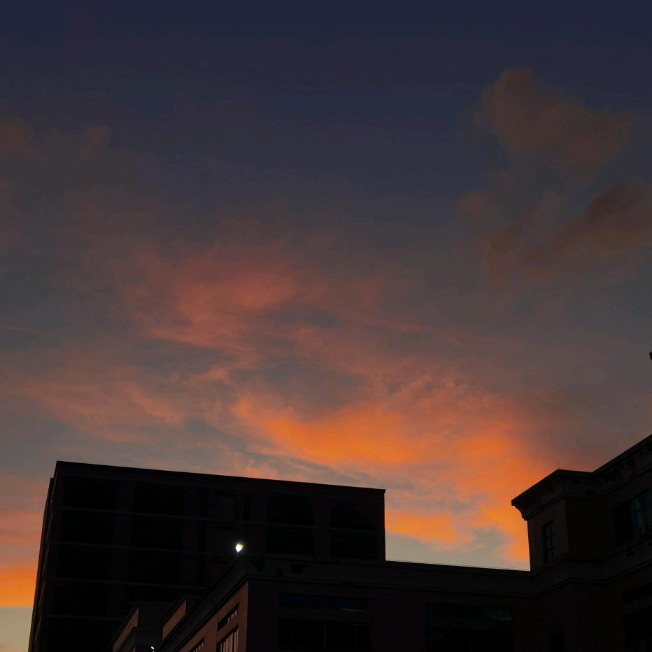 来人间凑数的日子里