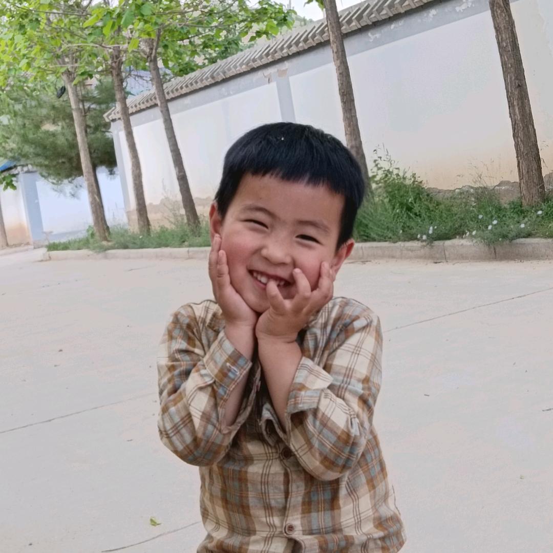 南墙试撞员