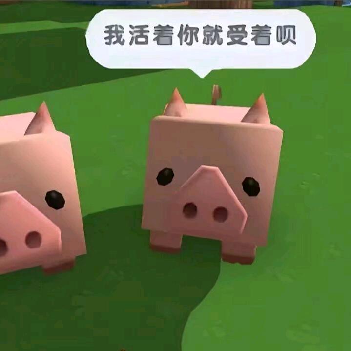 奇了怪