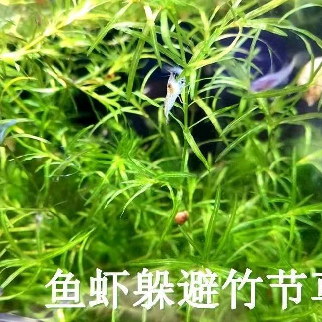 长沙旎燊水乐宠物用品有限公司