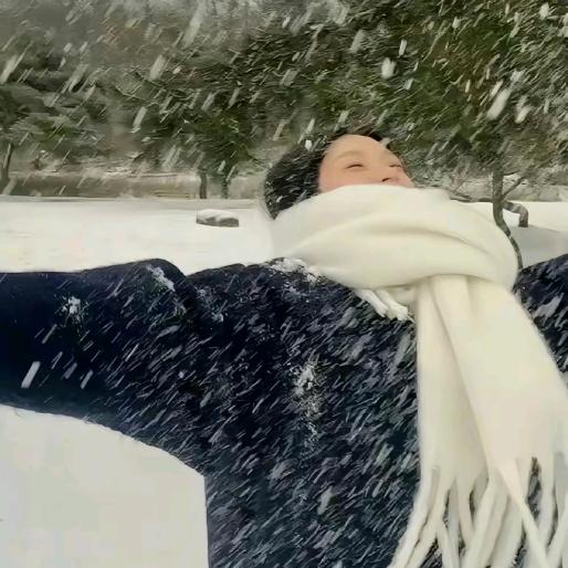雪中飞