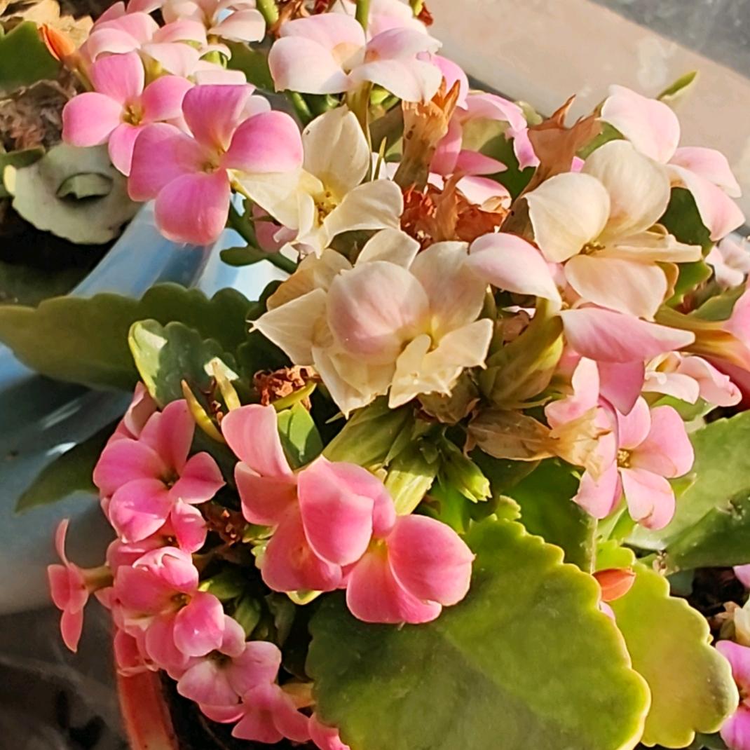 周日凌晨三点温暖的太阳