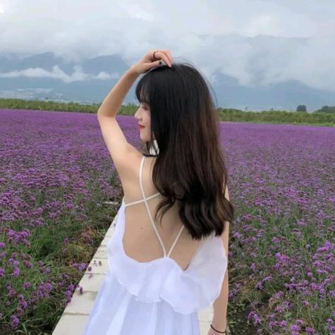诸城梦瑶