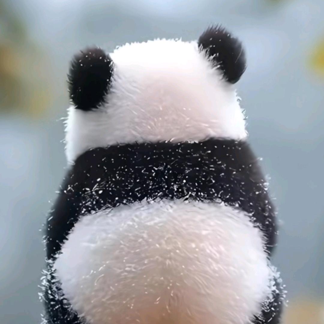 多喜乐