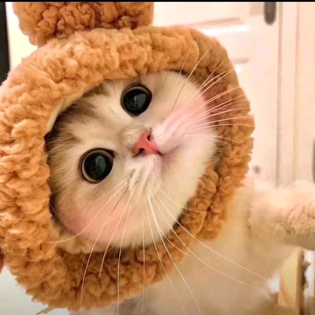 在无聊的生活里找乐趣