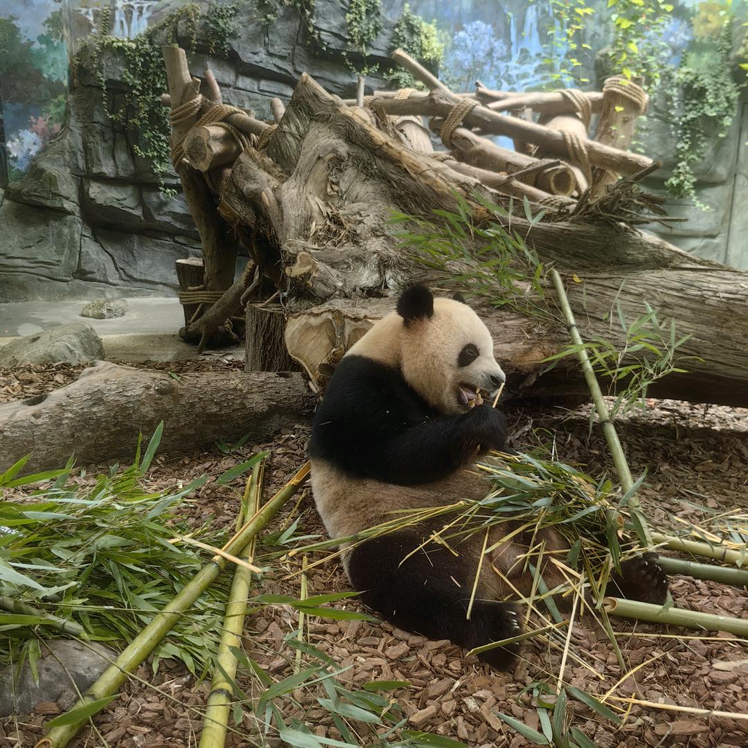 🎈🎈🎈🎈🎈🎈🎈