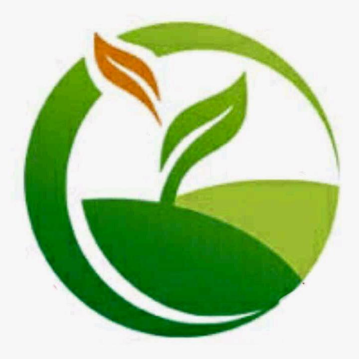 🥕🍆菜🥒🥬满🍅🌶园🌽🧅