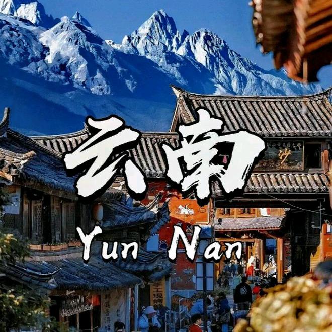 云南大梅子生鲜
