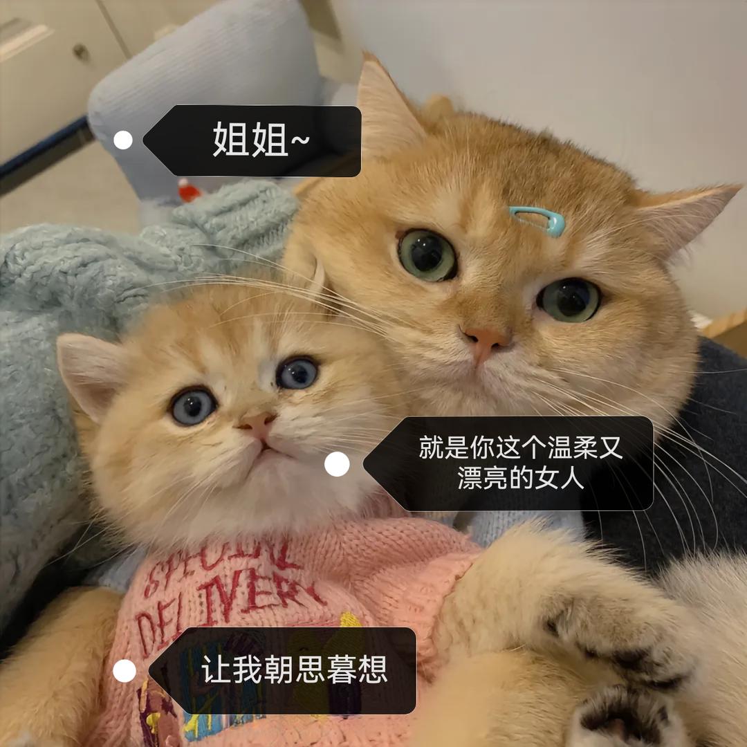 小德奇遇记