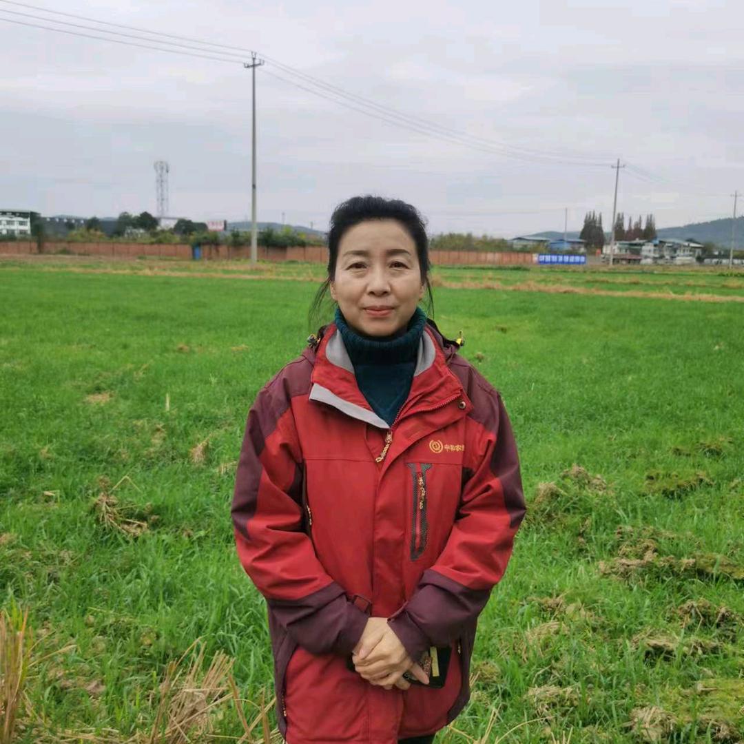 中和农信-小红姐