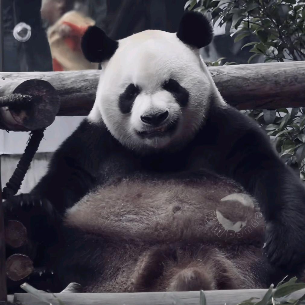 亲切百香果