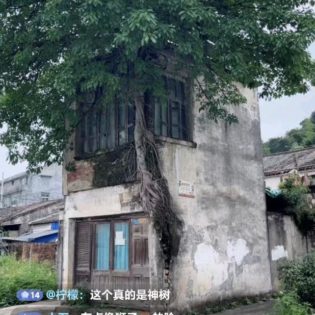 微山湖