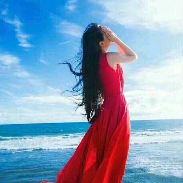 归途有风