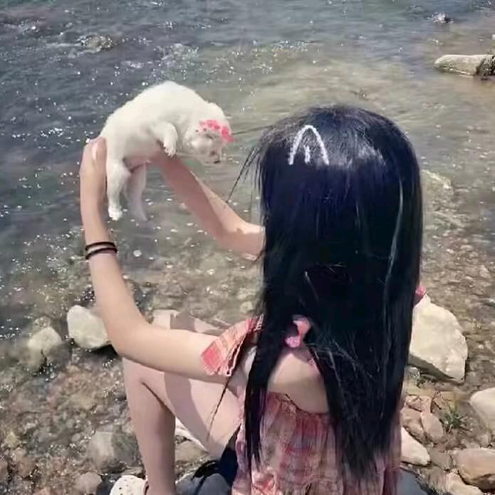 沐木哒💭