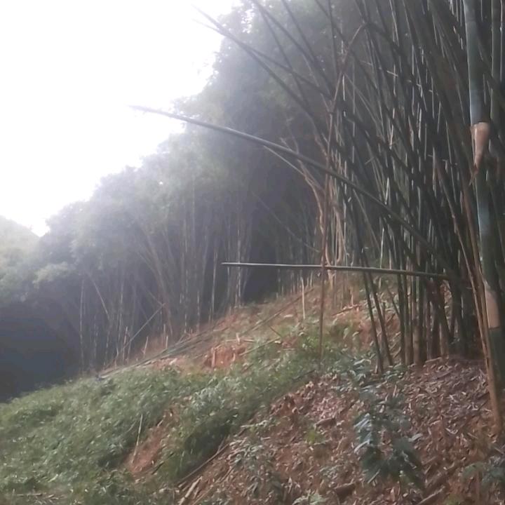 建