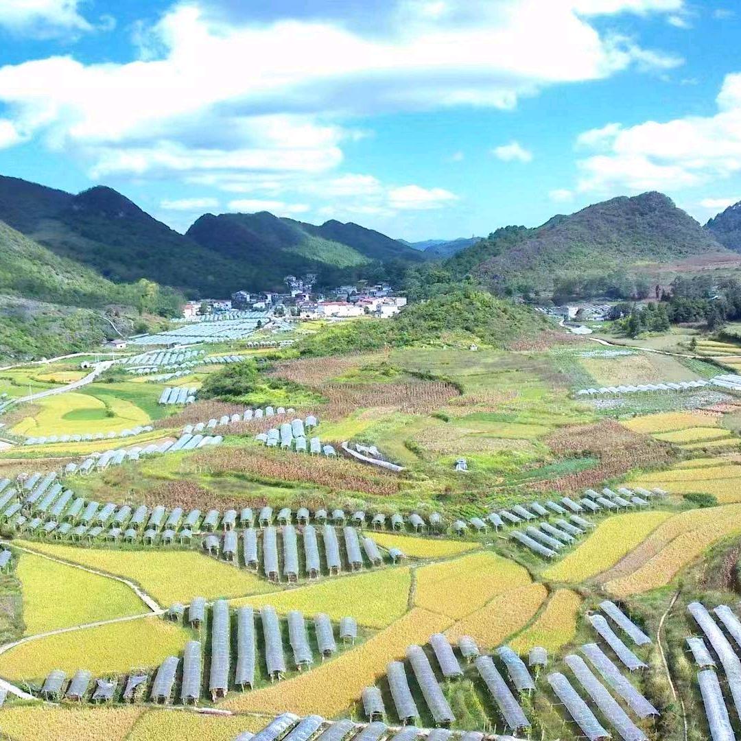 贵州梦胜农产品