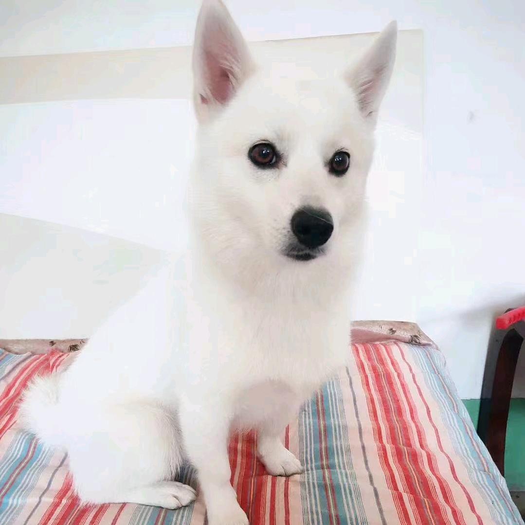 小李的阳阳