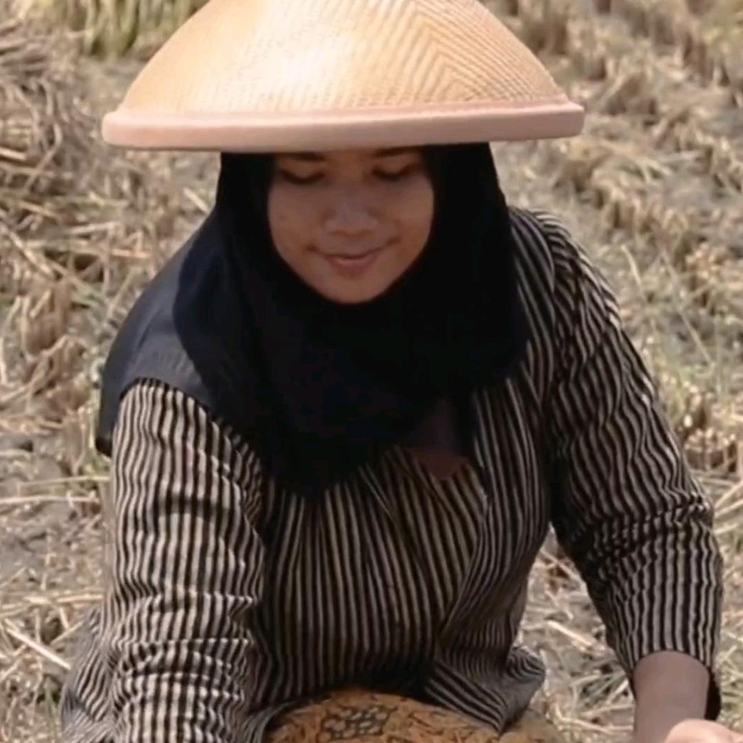 沃尔丰农资 飞燕（商品在橱窗）