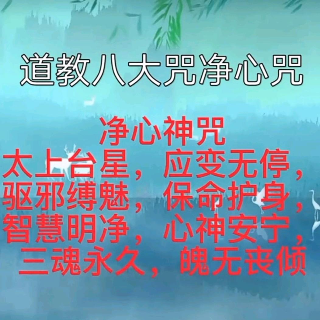 好运到