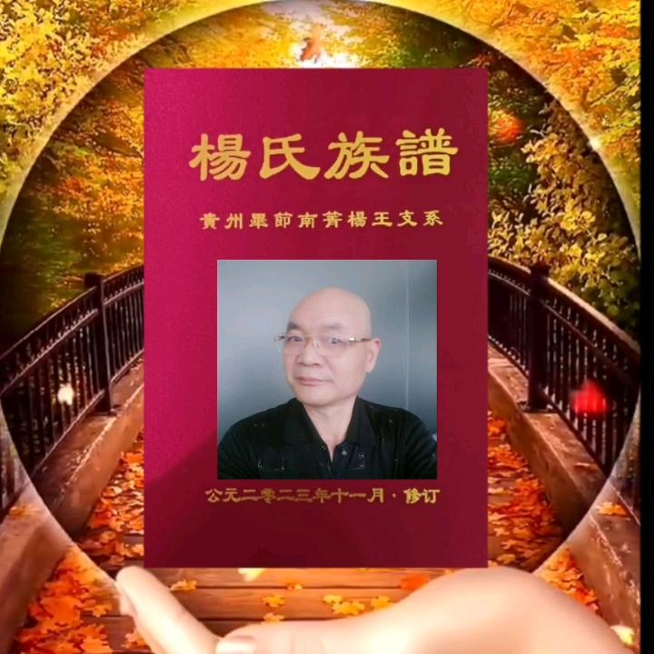 杨孝智(贵州毕节)